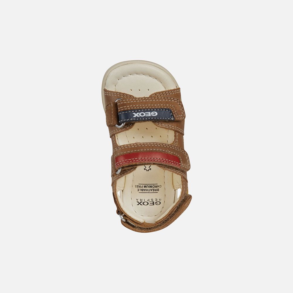 Geox Sandals Brown Alul Boy - Geox Baby Shoes - BFHJRP359